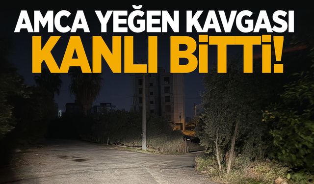 Amca-yeğen kavgası kanlı bitti: 3 ölü