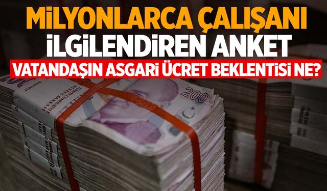 Asgari ücret anketi yapıldı! Vatandaşın istediği rakam ortaya çıktı!