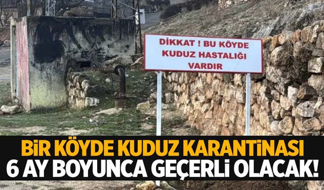 Bir ilde kuduz alarmı… Köy 6 ay karantinaya alındı!