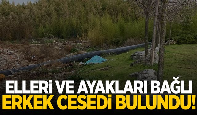 Denizde elleri ve ayakları bağlı erkek cesedi bulundu!