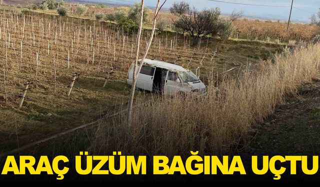 Denizli-Manisa karayolunda kaza… Araç üzüm bağına uçtu