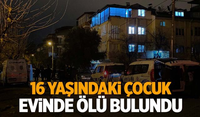 Ege’de eve döndüklerinde korkunç manzarayla karşılaştılar!