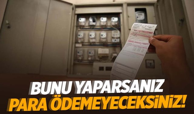 Elektrikte yeni dönem: Bunu yapan para ödemeyecek!