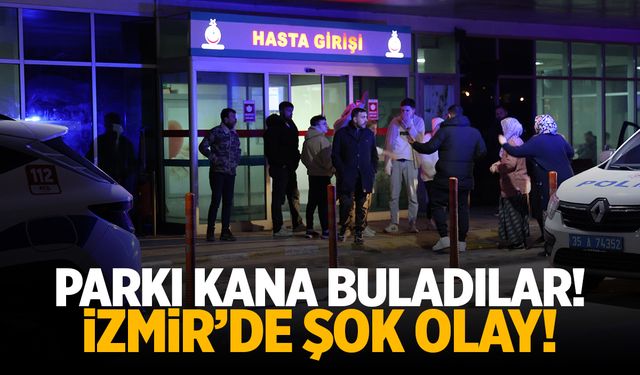 Parkta korku dolu anlar: 7 kişi yaralandı