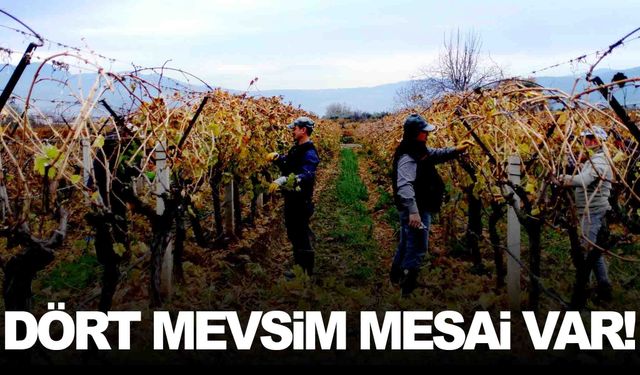 Manisa’da 4 mevsim süren mesai… Çalışmalar hiç bitmiyor!