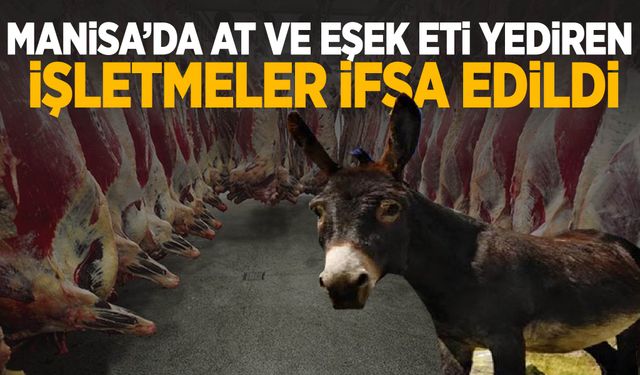 Manisa’da at ve eşek eti yediren işletmeler ifşa edildi!