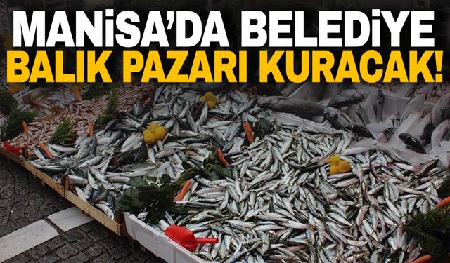 Manisa’da belediye balık pazarı kuracak!