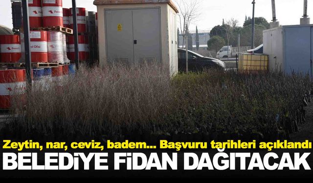 Manisa’da belediye ücretsiz fidan dağıtacak… İşte başvuru şartları!