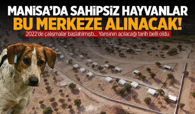 Manisa’da sahipsiz hayvanlar buraya alınacak! Açılış tarihi belli oldu