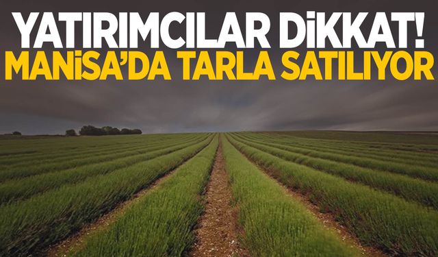 Manisa’da yatırımcılar dikkat! Tarla satışa çıkarıldı