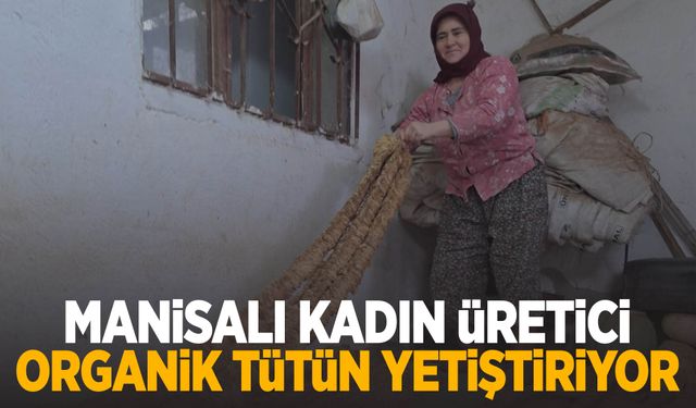 Manisalı kadın üretici, geleneksel yöntemlerle organik tütün yetiştiriyor