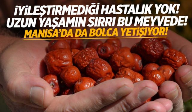 Uzun yaşamın sırrı bu meyvede… Manisa’nın ilçesinde bolca yetişiyor!