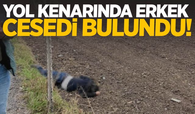 Yol kenarında erkek cesedi bulundu