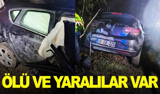 Otomobil bariyerlere çarptı: Ölü ve yarlılar var!