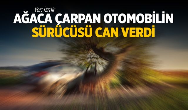 Ağaca çarpan otomobilin sürücüsü can verdi