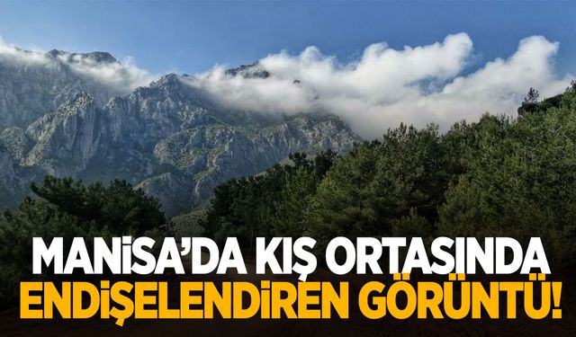 Manisa’da endişelendiren görüntü! Kış ortasında…