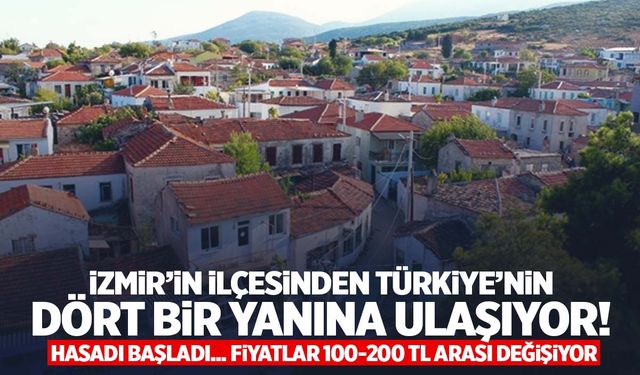 İzmir’in ilçesinden Türkiye’nin dört bir yanına gönderiliyor! Tarlada 100 tezgahta 200 lira!