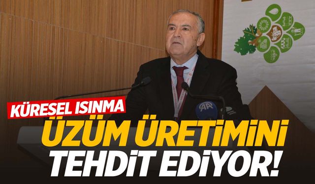 Küresel ısınma üzüm üretimini tehdit ediyor!