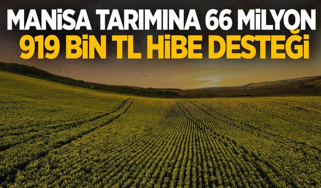 Manisa tarımına 66 milyon 919 bin TL hibe desteği