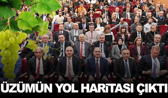 Manisa üzümü masaya yatırıldı… Rekabet gücü artırılacak!