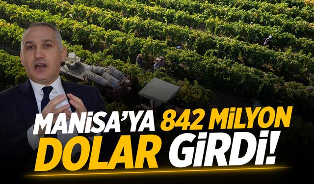 Manisa verisi ortaya çıktı... 842 milyon dolar!