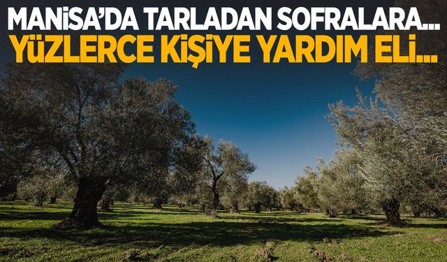 Manisa’da tarladan sofralara… Yüzlerce kişiye ulaştı