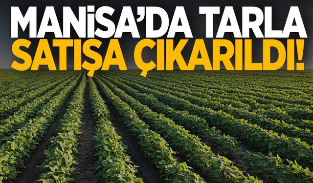 Manisa’da yatırım yapmak isteyenler dikkat! Tarla satışa çıkarıldı