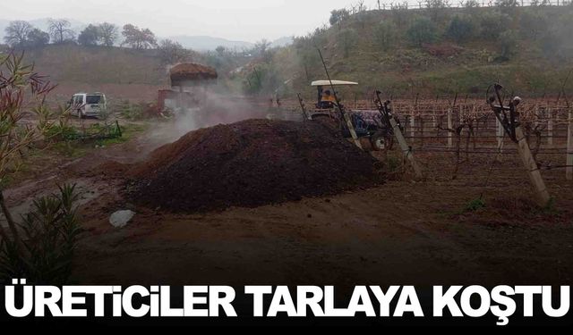 Manisalı çiftçiyi sevindiren yağmur… Tarlalara bereket yağdı