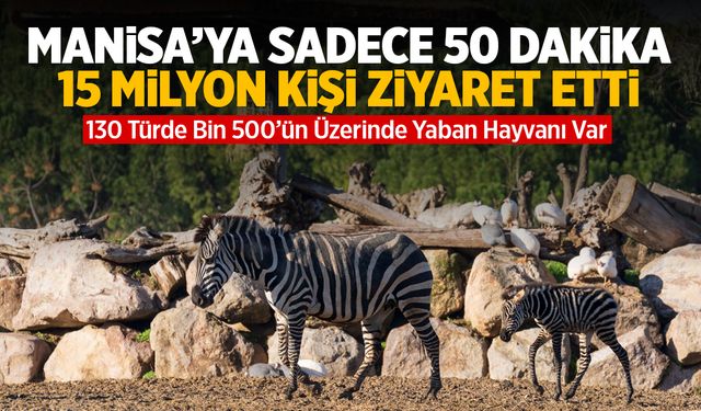 Manisa’ya sadece 50 dakika… 15 milyon kişi ziyaret etti