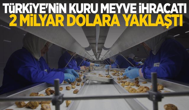 Türkiye, kuru meyvede global liderliğini güçlendiriyor