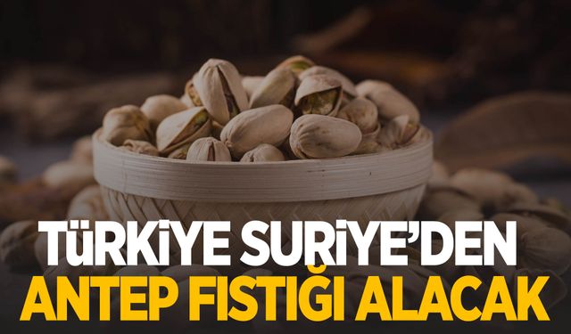 Türkiye, Suriye'den Antep fıstığı ithalatı için hazırlık yapıyor