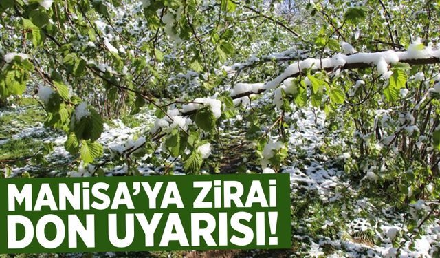 Manisa'ya zirai don uyarısı verildi!