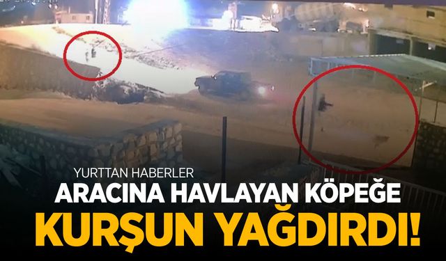 Aracına havlayan köpeği silahla vurdu!