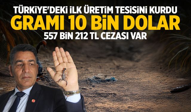 Gramı 10 bin dolar! Türkiye’de tesis kurdu… Doğadan toplamak yasaklandı