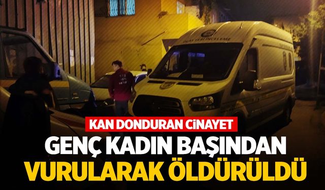 İstanbul’da sokak ortasında kadın cinayeti… Başından vurularak öldürüldü!