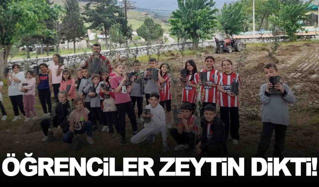 Öğrenciler okul bahçesine zeytin fidanı dikti!