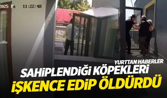 Sahiplendiği yavru köpekleri işkence edip öldürdü!
