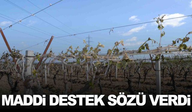 Ticaret Bakanı Bolat’ın gündeminde ‘Zirai don’ vardı