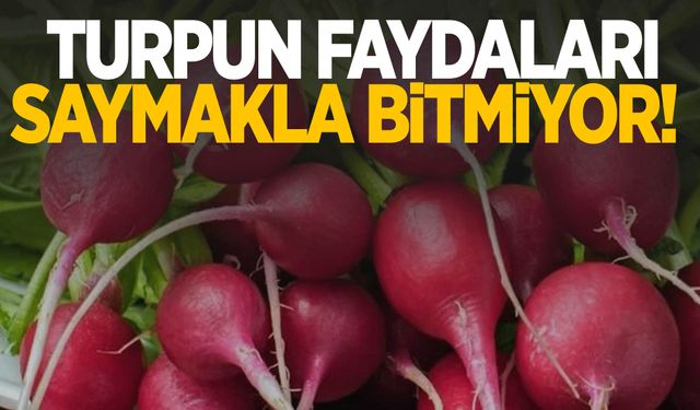 Turpun faydaları saymakla bitmiyor: Doğal bir şifa kaynağı