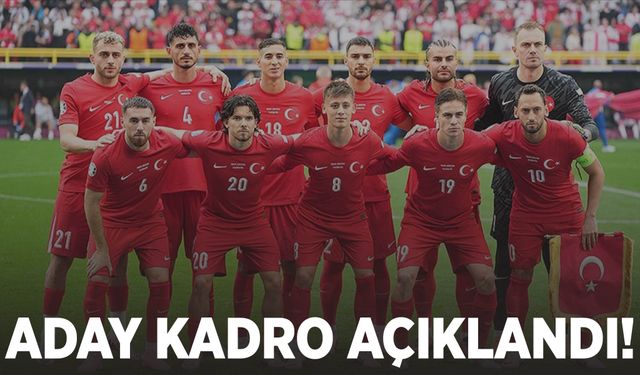 A Milli Takım'ın Amerika ve Meksika maçları için aday kadrosu açıklandı