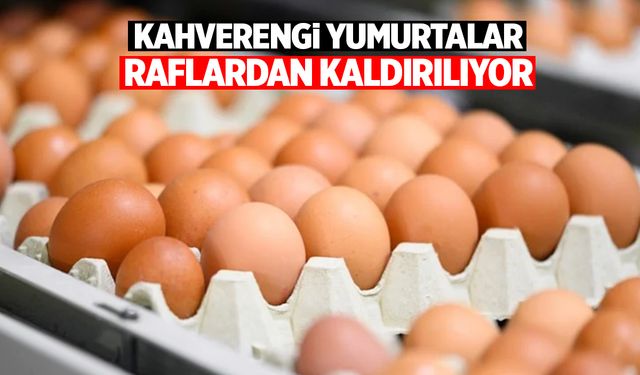 Bir ülke karar aldı! Kahverengi yumurta raflarda olmayacak