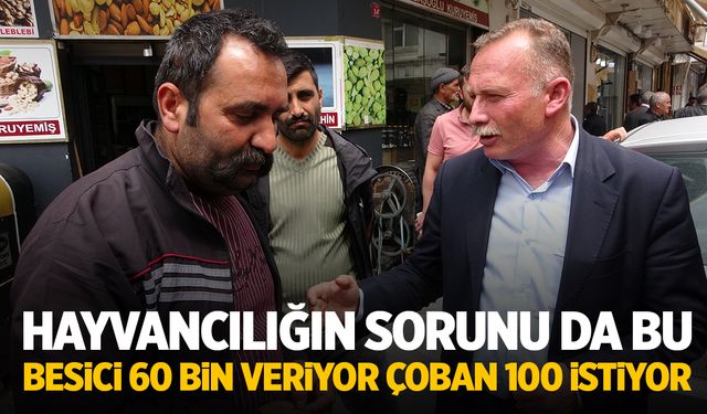 Suriyeliler de yetmedi... 100 bin liranın altına çalışan çoban yok