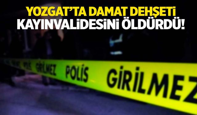 Tartıştığı kayınvalidesini bıçaklayarak öldürdü!