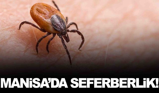 Yaz aylarının en büyük tehlikesi… Manisa’da seferberlik başladı!