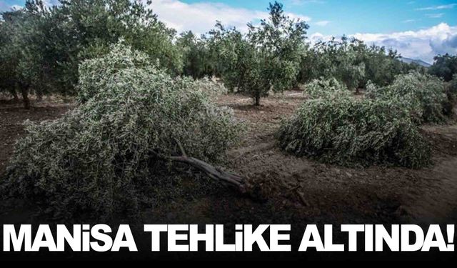 Maden Yasası Teklifi komisyondan geçti… Manisa’yı da yakından ilgilendiriyor