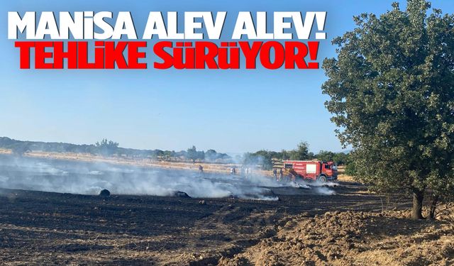 Manisa alarm veriyor! Son 24 saatte 150 yangın çıktı…