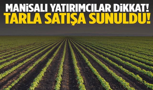 Manisa’da yatırımcıların dikkatine… 11 dönümlük tarla satışta!