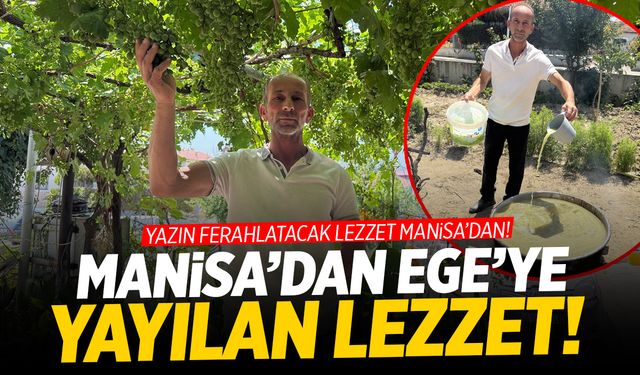 Manisa'dan Ege'ye yayılan lezzet!