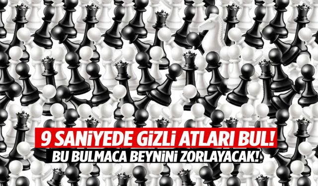 9 saniyede gizli atları bul! Bu satranç tahtasında kaç at saklı?