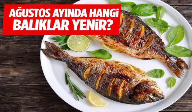 Ağustos ayında hangi balıklar yenir?